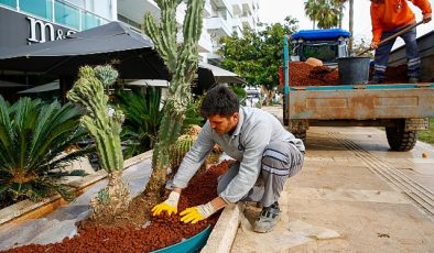 Antalya Büyükşehir Belediyesi şehri renklendiriyor