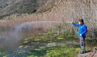 Antalya Büyükşehir vektörel mücadeleyi kışın da sürdürüyor