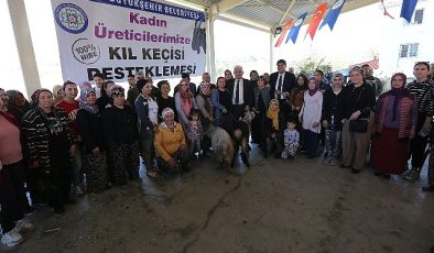 Büyükşehirden Seydikemer’li Kadın Üreticilere Kıl Keçesi Desteği