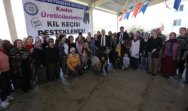 Büyükşehirden Seydikemer’li Kadın Üreticilere Kıl Keçesi Desteği