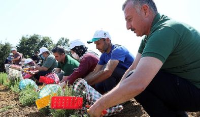 Büyükşehir’den tarıma 236 milyon 210 bin TL destek