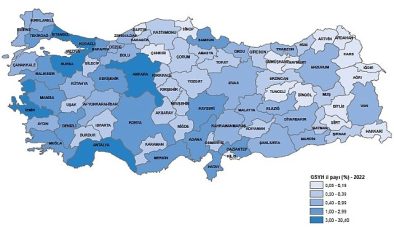 Gayrisafi Yurt İçi Hasıladan (GSYH) en yüksek payı yüzde 30,4 ile İstanbul aldı