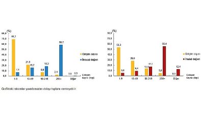 Hizmet ihracatının yüzde 58,7’sini, hizmet ithalatının yüzde 55,4’ünü büyük ölçekli girişimler yaptı