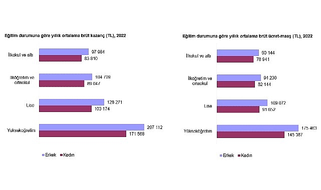 Kazanç Yapısı İstatistikleri, 2022