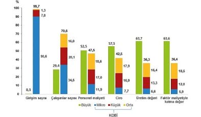 Küçük ve Orta Büyüklükteki Girişim İstatistikleri, 2022