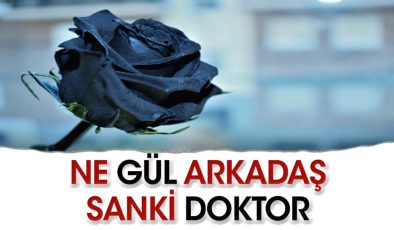 Ne gül arkadaş sanki doktor