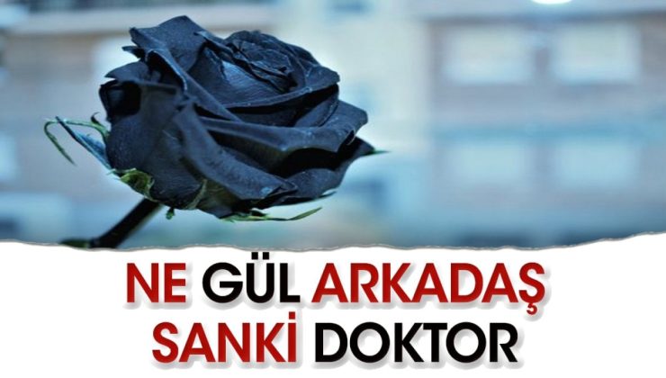 Ne gül arkadaş sanki doktor