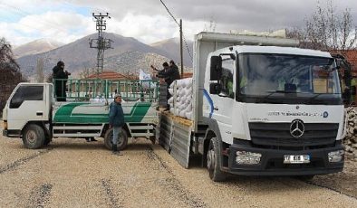 Antalya Büyükşehir Belediyesi’nin süt yemi takviyesi sürüyor