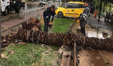 Antalya Büyükşehir teyakkuzdaydı