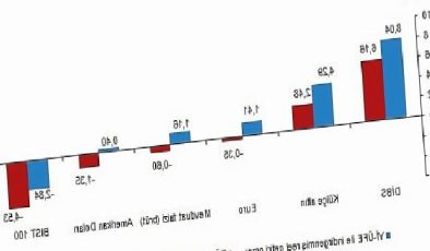 Aylık en yüksek gerçek getiri Devlet İç Borçlanma Senetleri (DİBS)’te oldu