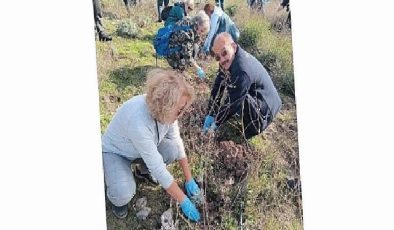 Bornova Belediyesi’nden arıcılara lavanta desteği