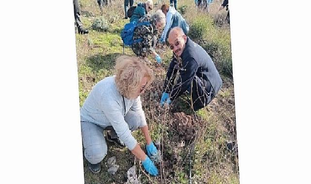 Bornova Belediyesi’nden arıcılara lavanta desteği