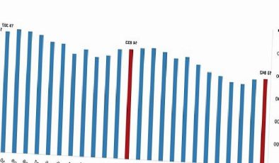 Fiyatlı çalışan sayısı yıllık yüzde 1,8 arttı