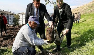 Karşıyaka’da ağaç varlığı hızla artmaya devam ediyor