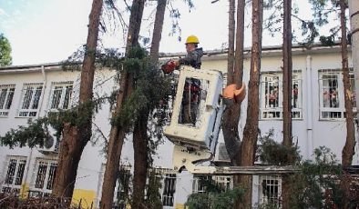 Karşıyaka’da etraf düzenleme çalışmaları süratle devam ediyor