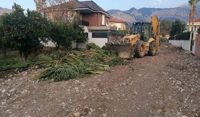 Kemer’de paklık çalışmaları