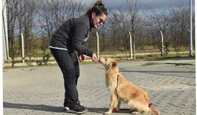 Lüleburgaz Belediyesi’nden bir ilk daha