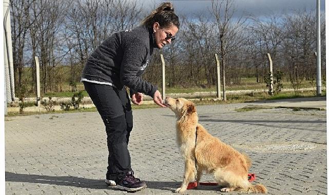 Lüleburgaz Belediyesi’nden bir ilk daha