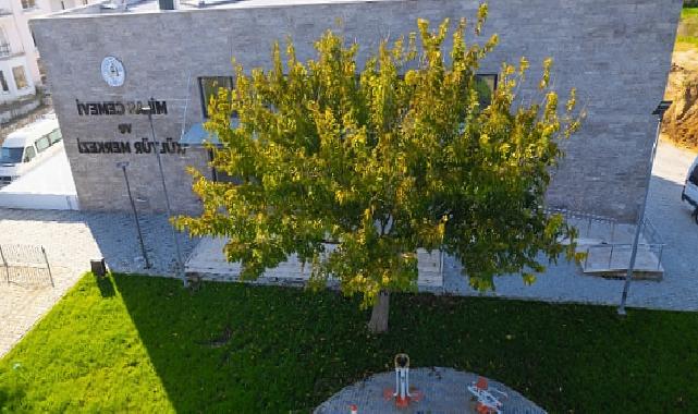 Milas Cemevi ve Kültür Merkezi 3 Şubat’ta açılıyor