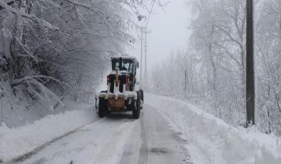 Sakarya ve Kocaeli’nin yüksek kesimleri karla kaplandı