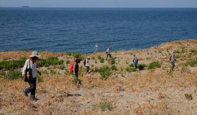 Türkiye’nin dört bir yanındaki kazılarla arkeolojik varlıklar gün yüzüne çıkarılıyor