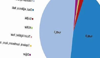 Yurt içinde ikamet eden 19 milyon 467 bin kişi seyahate çıktı