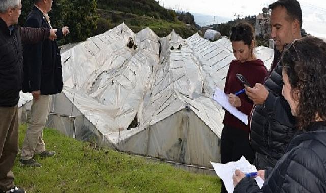 Antalya Büyükşehir Alanyalı üreticilerin yaralarını sarıyor