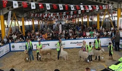 İnegöl Küçükbaş Hayvancılık Şenliğinin Tarihleri Aşikâr Oldu