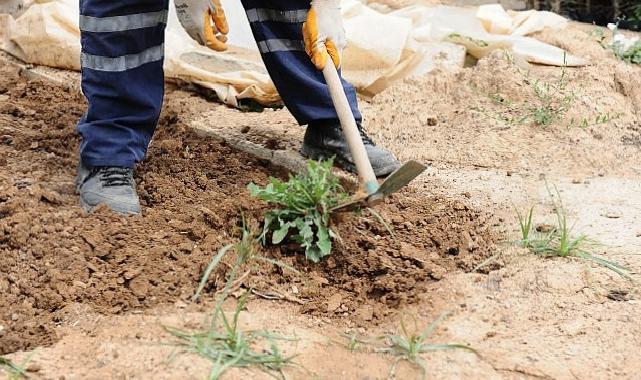 Karşıyaka’da bostanlar artıyor, kentsel tarım güçleniyor