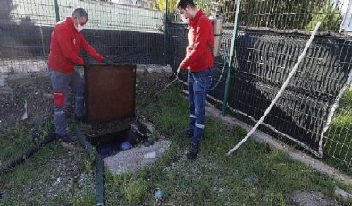 Menderes’te Larva Çabası