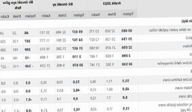 TÜİK: Mevsim tesirinden arındırılmış işsizlik oranı %8,8 düzeyinde gerçekleşti