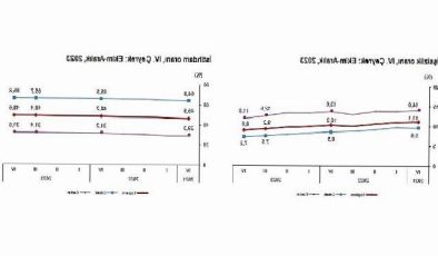 TÜİK: Mevsim tesirinden arındırılmış işsizlik oranı %8,8 düzeyinde gerçekleşti