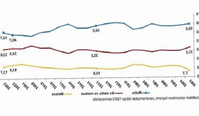 TÜİK: Türkiye’nin %52,7’si memnun