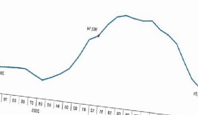 TÜİK: Ziraî girdi fiyat endeksi (Tarım-GFE) yıllık %41,43, aylık %2,62 arttı