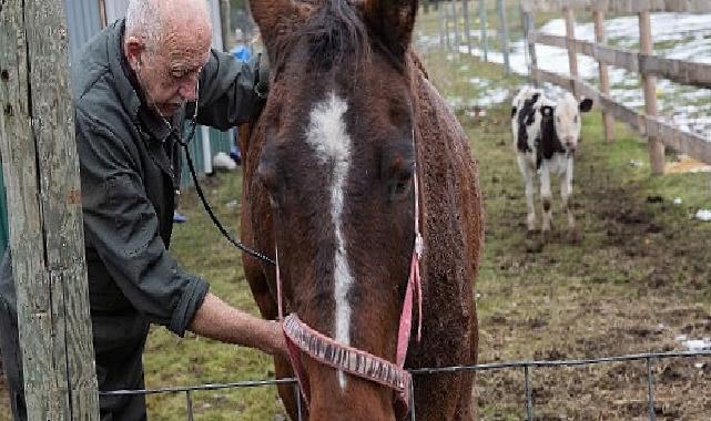 “Yetenekli Dr. Pol”un Yeni Dönemi Şubat Ayında National Geographic WILD Ekranlarında