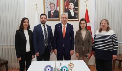 Zeytinyağı atıkları omurilik yaralanmalarında besin desteği olarak kullanılacak