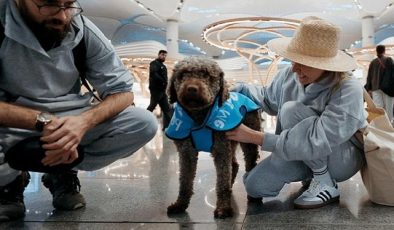 İGA İstanbul Havalimanı Terapi Köpekleri Uçuş Gerilimini Azaltmak İçin Vazifeye Hazır!