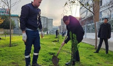 Karşıyaka Belediyesi’nden 5 yıllık ‘yeşil’ hamle!