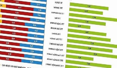 Tüik: Araştırma kapsamında 50 ve daha üst yaştaki 29 bin 785 kişi ile ilgili bilgi derlendi