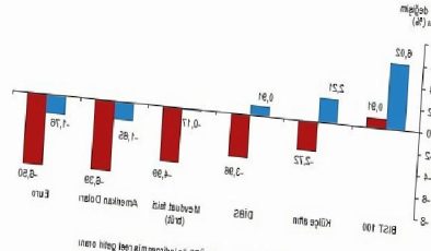 TÜİK: Aylık en yüksek gerçek getiri BIST 100 endeksinde oldu