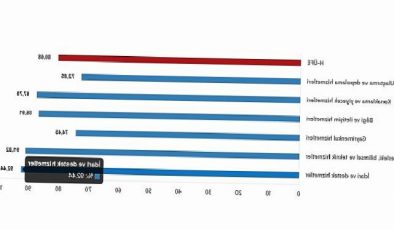 TÜİK: Hizmet Üretici Fiyat Endeksi (H-ÜFE) yıllık %80,68 arttı, aylık %15,25 arttı