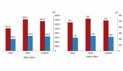 TÜİK: Mevsimlik tarım çalışanlarının ortalama günlük fiyatları 2023 yılında %114,6 arttı