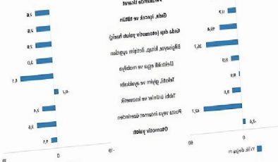 TÜİK: Ticaret satış hacmi yıllık %0,4 azaldı, perakende satış hacmi yıllık %13,3 arttı