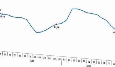 TÜİK: Tüketici fiyat endeksi (TÜFE) yıllık %67,07, aylık %4,53 arttı