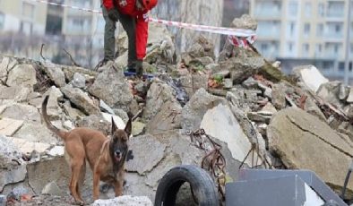 ‘Zeyna’dan Büyük Muvaffakiyet