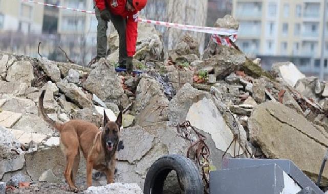 ‘Zeyna’dan Büyük Muvaffakiyet